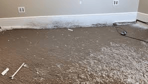 Understanding the Different Types of Water Damage and Their Impact on Your Home