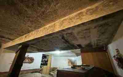 Hidden Signs of a Mold Problem: What Homeowners Often Miss