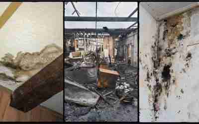 Fire vs. Mold vs. Water Damage: Understanding the Differences and Comprehensive Treatment