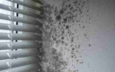 The Winter Silent Killer: How Cold Weather Leads to Hidden Mold Growth