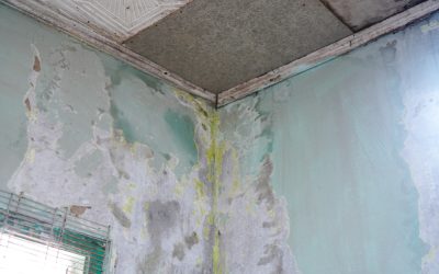 Signs You Need Water Damage Restoration Services in Rochester, NY Before It’s Too Late