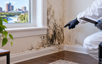 Common Signs You Need Mold Remediation in Rochester, NY